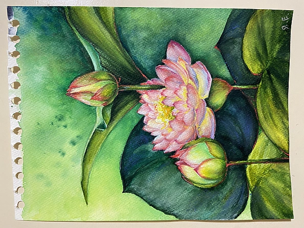 Yana Yeremenko - “Pink lily” watercolor, fiower painting