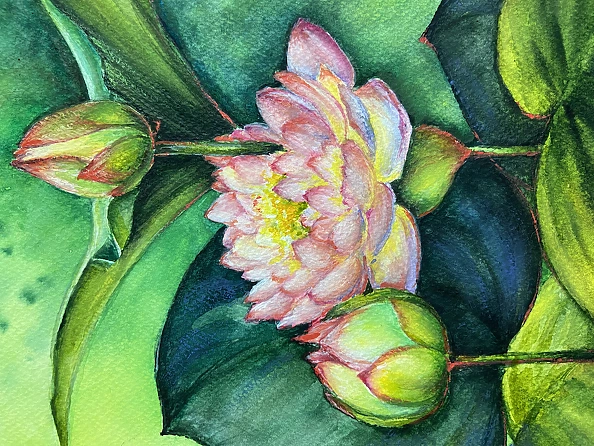 Yana Yeremenko - “Pink lily” watercolor, fiower painting