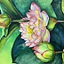 Yana Yeremenko - Aquarell „Rosa Lilie“, Blumenmalerei