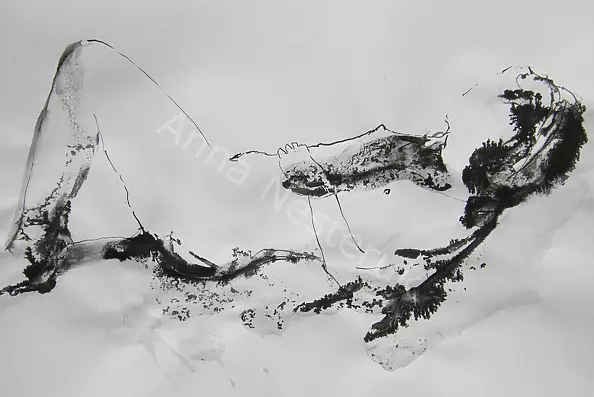 Anna Nesteruk - act 20