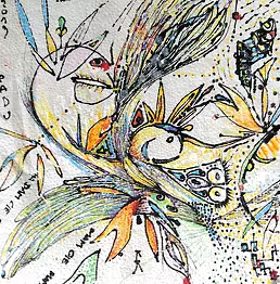 Krzysztof Kowalski - almelo