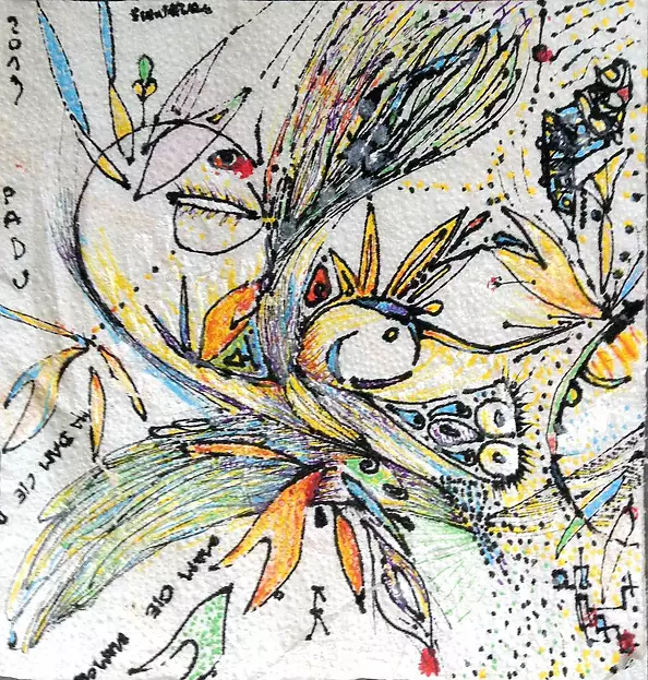 Krzysztof Kowalski - almelo