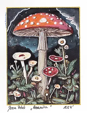 Jena Polak - ammanita