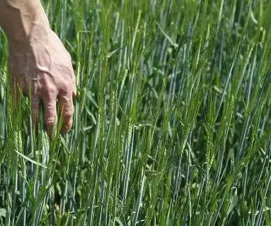 Paweł Jan Kamiński