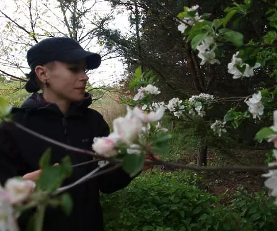 Agnieszka Świerczek