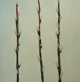 Piotr Dryll - stalks