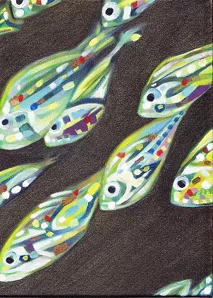 Padovani Nicolas - banc de poissons