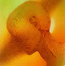 Andrzej Tomaszewski - without title