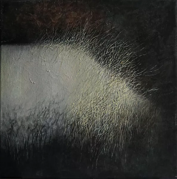 Iza Jaśniewska - without title