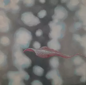 Joanna Jenczyk - bez tytułu