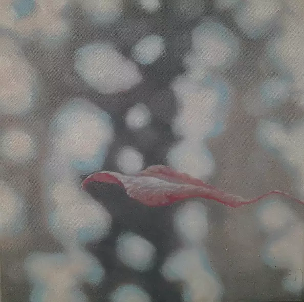 Joanna Jenczyk - no title