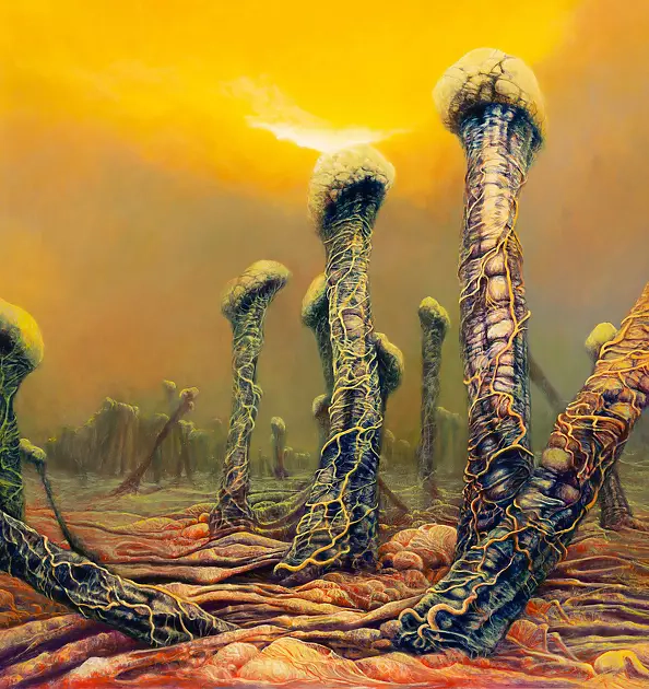 Krzysztof Heksel - without title