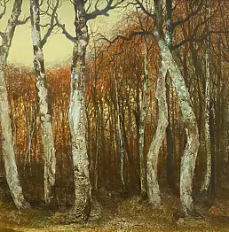 Jerzy Duda Gracz - sans titre - (forêt de bouleaux - automne)