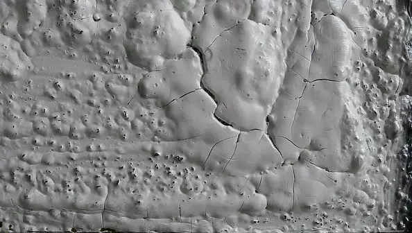 Krystyna Ciećwierska - białe i białe