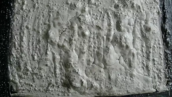 Krystyna Ciećwierska - białe i białe