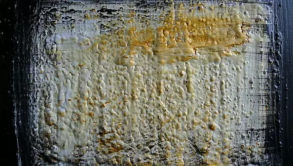 Krystyna Ciećwierska - white and gold