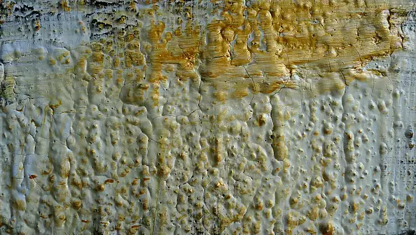 Krystyna Ciećwierska - white and gold