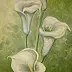 Kamila Dobrowolska Karaczewska - white calla