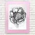 Anna Skowronek - black and white sketch with a flower