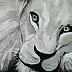 Ewa Mościszko - biały lew