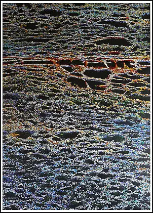 Marek Chomczyk - mud