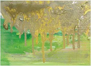 Krystyna Ciećwierska - brown algae