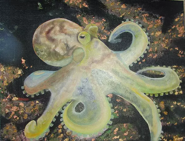 Padovani Nicolas - chatrou