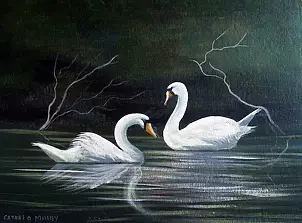   - Cleggan swans