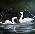 Cathal O Malley - Cleggan swans