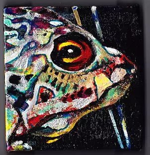 Padovani Nicolas - coloured fish 1