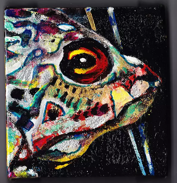 Padovani Nicolas - colored fish 1