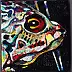 Padovani Nicolas - colored fish 1