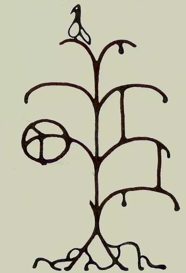 Padovani Nicolas - corbak