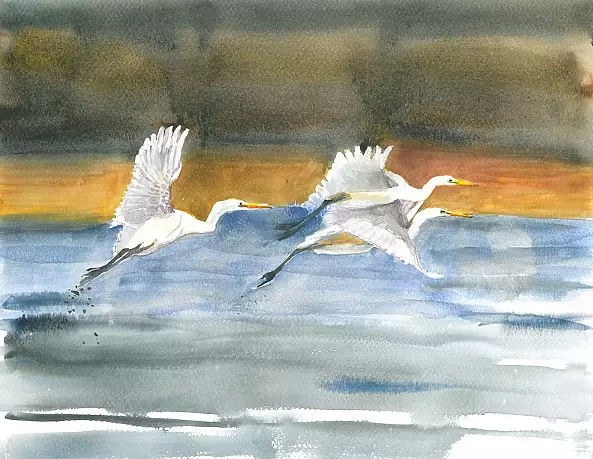 Zdzisław Rutkowski - Czaple białe