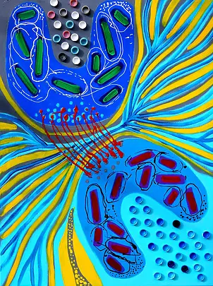 Paweł Zakrzewski - defragmentation synaptic