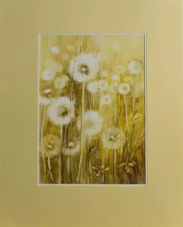 Monika Bielat Sobiczewska - dmuchawce