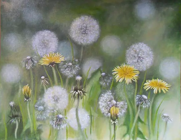 Małgorzata Piasecka Kozdęba - dmuchawce