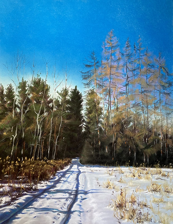 Rafał Bochra - droga do lasu w Kluczkowicach