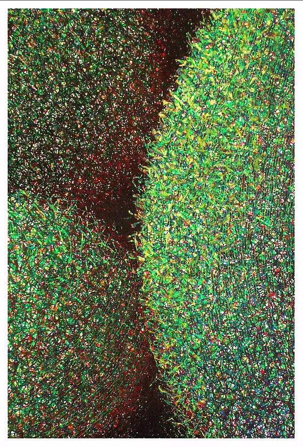 Marek Chomczyk - trees