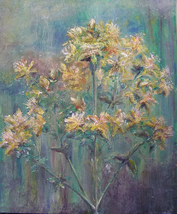 Małgorzata Lesisz - St. John's wort