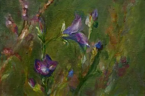 Justyna Kubica - dzwonki polne1