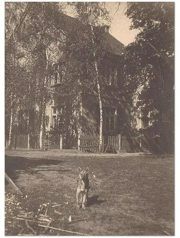 Eryk Maler - e`ryk - mariachi 1, 2011