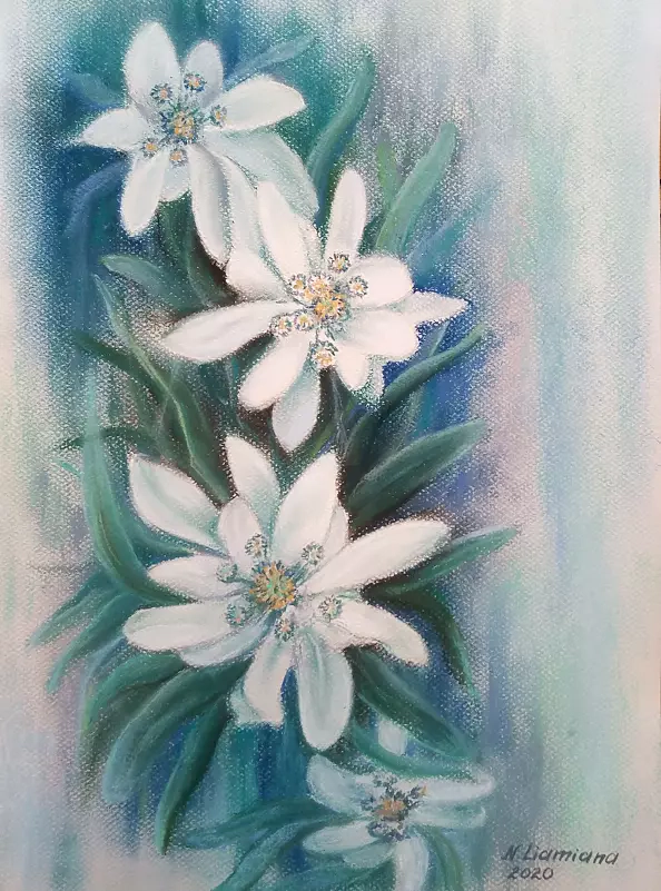 Nataliia Liamina - Эдельвейс