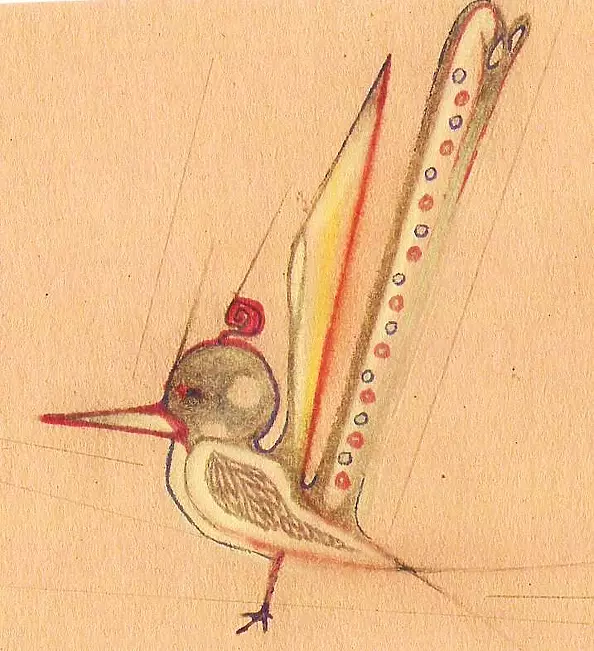 Padovani Nicolas - essai oiseau