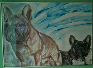 Andrzej Rurziński - f / Bulldog