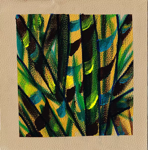 Padovani Nicolas - feuillages b