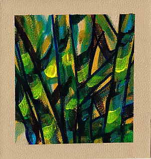 Padovani Nicolas - feuillages f