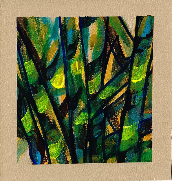 Padovani Nicolas - feuillages f