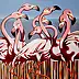 federico cortese - Flamingos