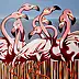federico cortese - flamingos